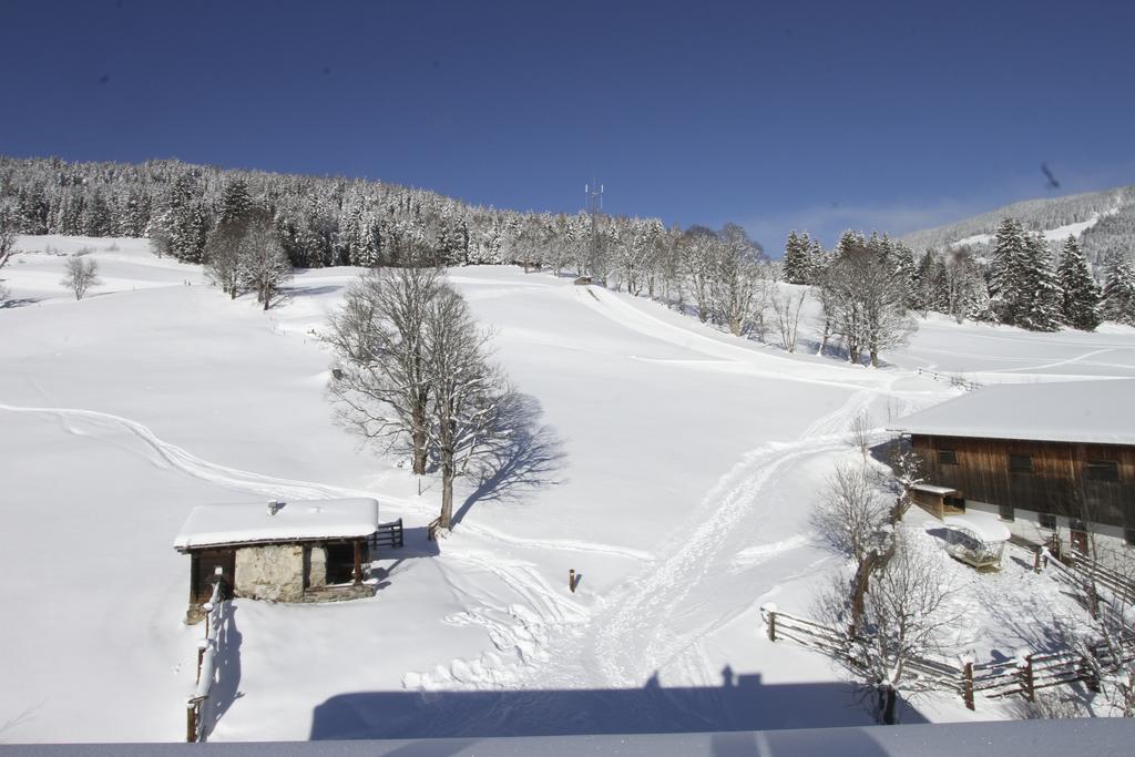 Eberharthof Apartment Saalbach-Hinterglemm Luaran gambar